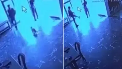 Belediye görevlisi salona giren kediye tekme attı  