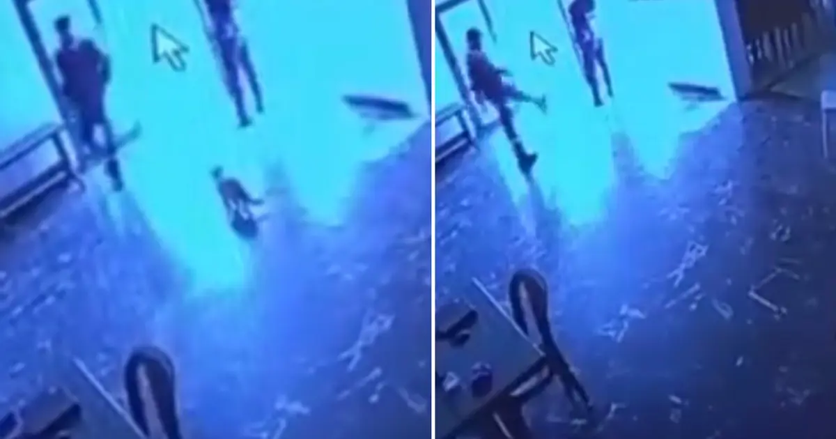 Belediye görevlisi salona giren kediye tekme attı