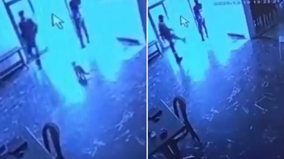 Belediye görevlisi salona giren kediye tekme attı  