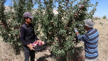 Tonlarcası çiftçinin elinde kaldı. Depoda 40 liraya satılmayı bekliyor