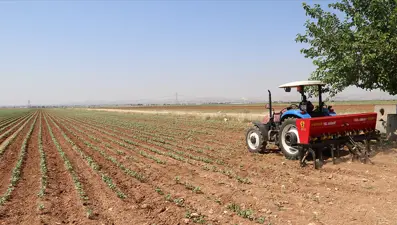 Gübre tedariki için yeni tedbir: Gümrük vergileri sıfırlandı