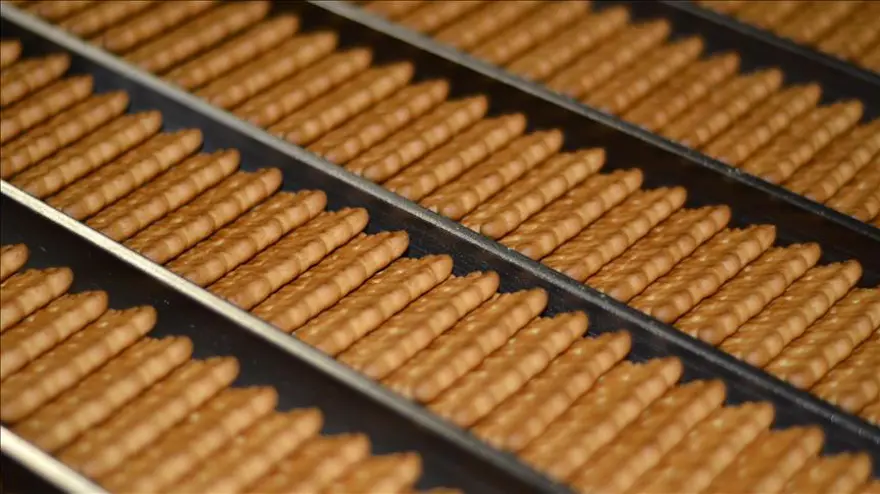 HEM KÖPEKLERE HEM DE SAHİPLERİNE 2