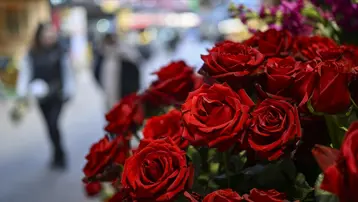 Çiçekçilerde Sevgililer Günü yoğunluğu başladı. Bir buket çiçek ne kadar?