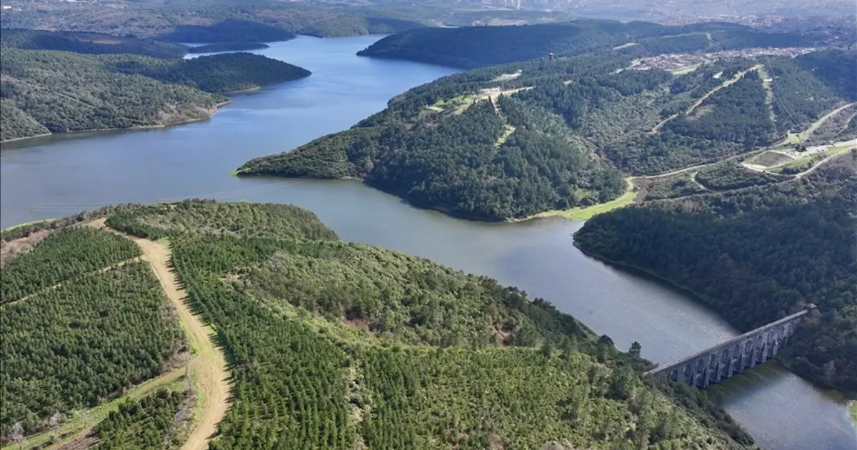 Baraj doluluk oranlarında son durum 23 Mart: İstanbul barajları ne kadar dolu? (İSKİ güncel baraj doluluk oranı)