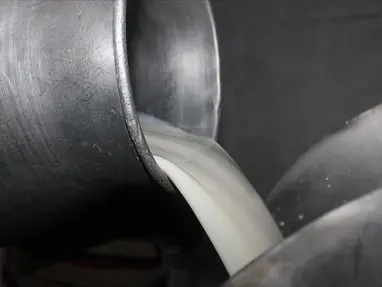 Çiğ sütte yeni fiyatlar. Sütün yağ ve protein oranı fiyatı etkileyecek 