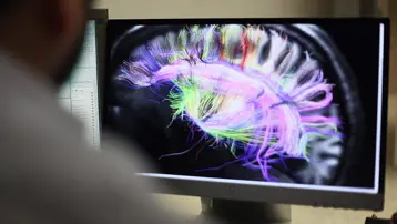 Bencilliğin çaresi bulunmuş olabilir: Beyinde gama senkronizasyonu