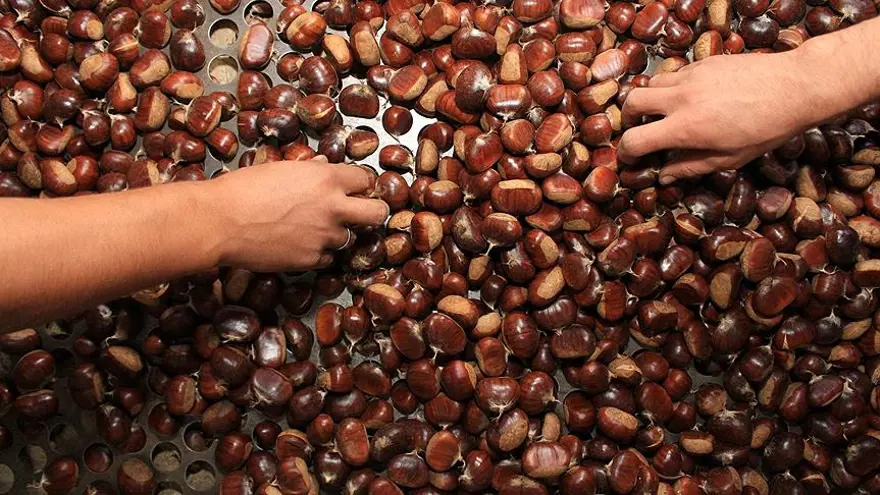 Kış aylarının şifa kaynağı, kansere karşı koruyor: Geçen yıl 100 gramı 80 liraydı 2