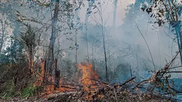 2025, en sıcak üçüncü yıl oldu