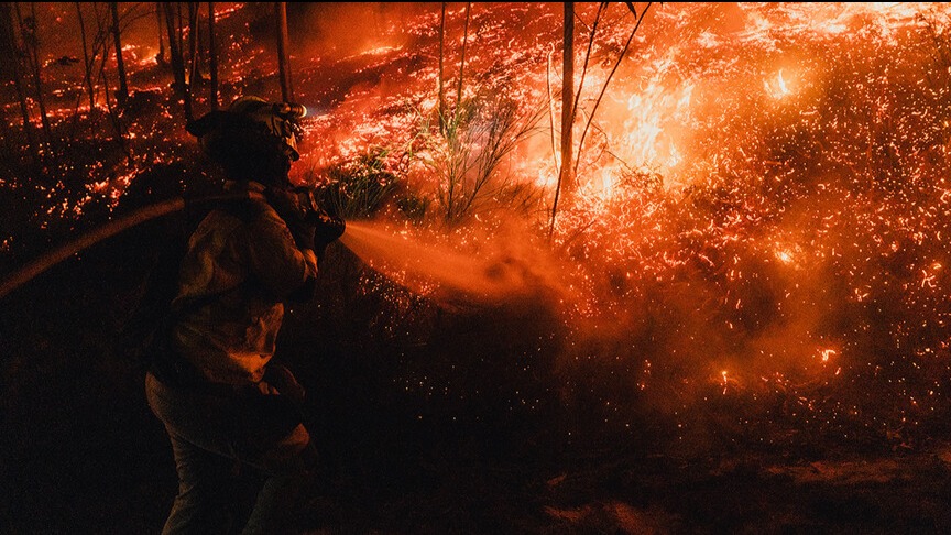 Japonya’da ormanlar yanıyor