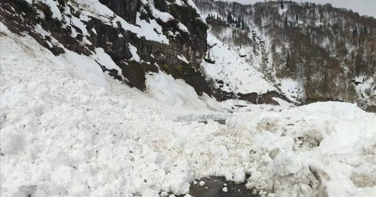Artvin'de çığ düştü. "Çobanlar altında kalmış olabilir"