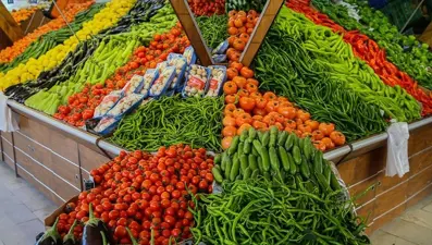 Akdeniz'de biber, Güneydoğu'da domates şampiyon oldu. Tarım ürünleri ihracatla dünyaya dağılıyor