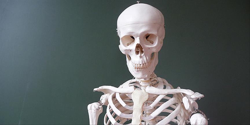 İklim krizi kemiklerimizi eritiyor: Atmosferdeki karbondioksit artışı iskelet sistemini zayıflatıyor