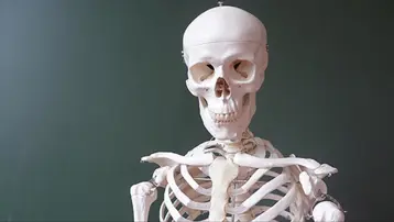 İklim krizi kemiklerimizi eritiyor: Atmosferdeki karbondioksit artışı iskelet sistemini zayıflatıyor