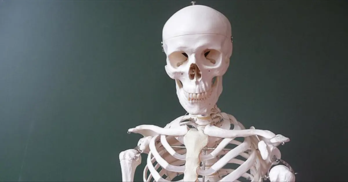 İklim krizi kemiklerimizi eritiyor: Atmosferdeki karbondioksit artışı iskelet sistemini zayıflatıyor