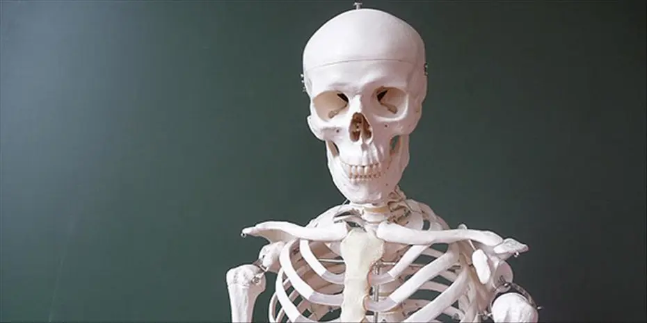 İklim krizi kemiklerimizi eritiyor: Atmosferdeki karbondioksit artışı iskelet sistemini zayıflatıyor