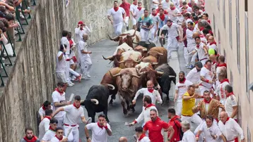İspanya'da boğa koşularının bilançosu belli oldu