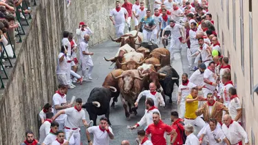 İspanya'da boğa koşularının bilançosu belli oldu
