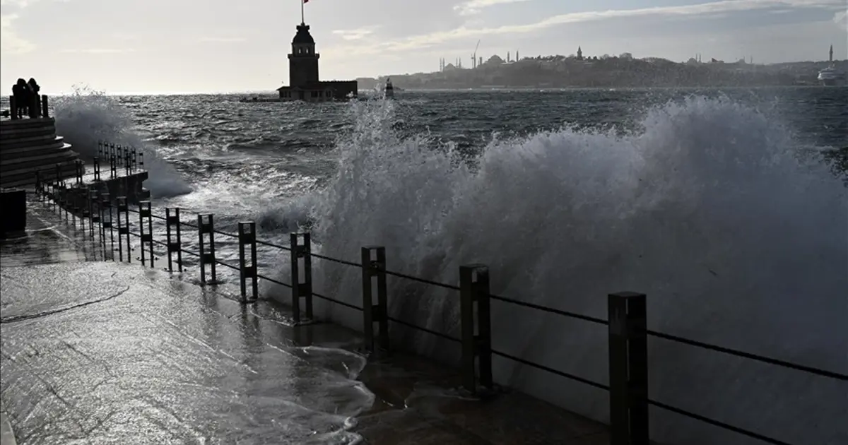 İstanbul'da yağış ve rüzgar ağaçları devirdi