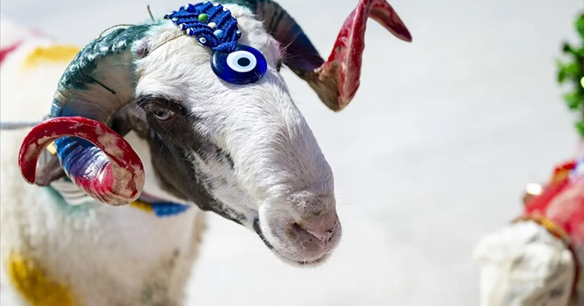 Kurban Bayramı ne zaman, bayram tatili 9 gün mü olacak? 2026 Kurban Bayramı takvimi