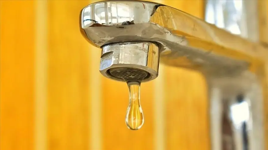 BALÇOVA, NARLIDERE VE GÜZELBAHÇE 4