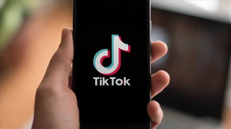 Fransa'da TikTok'a 