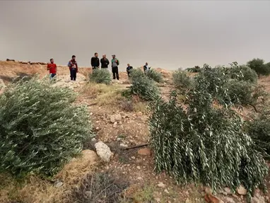İsrail, Batı Şeria&#x27;da bin 608 zeytin ağacını kökünden söktü