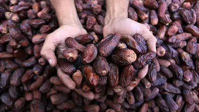 İftar sofralarının gözdesi hurma Ramazan'a hazırlanıyor. Ramazanda hurma ne kadar olacak?