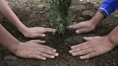 TEKNOFEST İstanbul ziyaretçi sayısı kadar fidan dikilecek