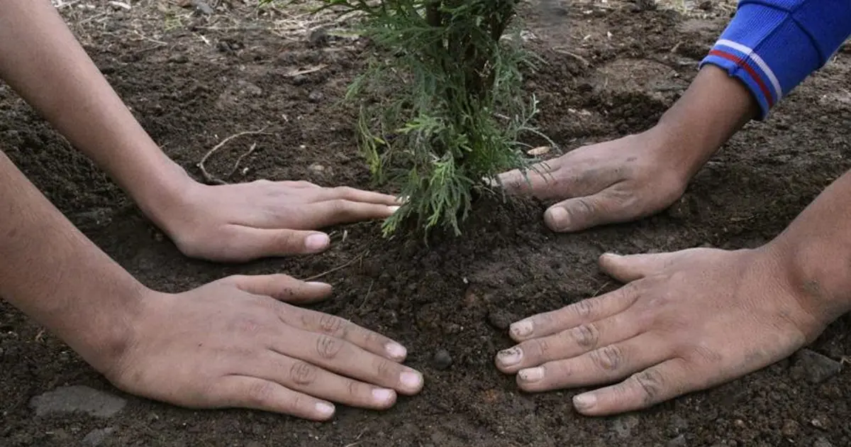 TEKNOFEST İstanbul ziyaretçi sayısı kadar fidan dikilecek