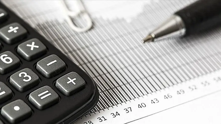 DEVLET İÇİ BORÇLANMA SENEDİ  2