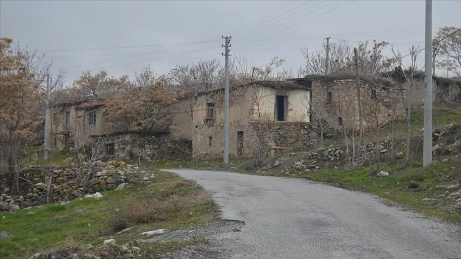 Türkiye'de 3 köyde yalnızca 1 kişi yaşıyor