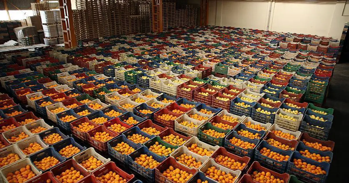 İstanbulluların favorisi pazar tezgahlarında en çok o ürün satıldı