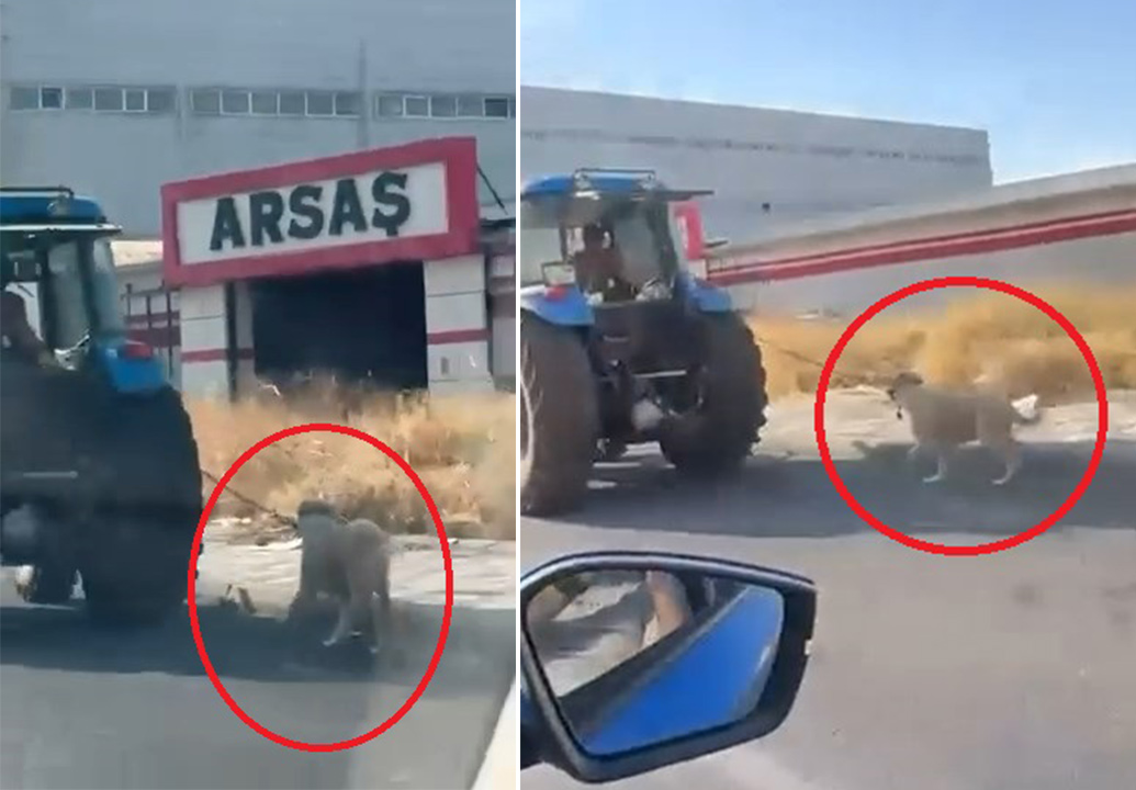 Köpeği traktöre iple bağlayıp koşturdu