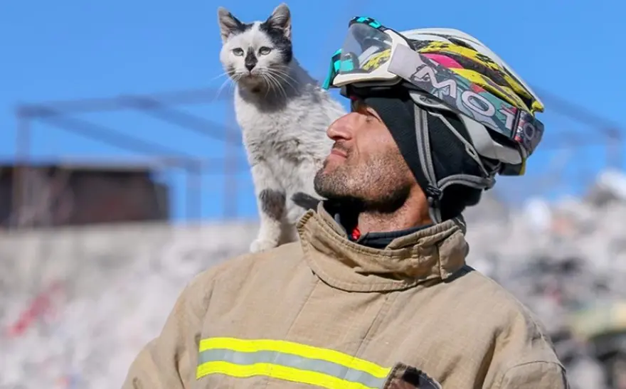 Asrın felaketinde enkazdan çıkarmıştı. Sahiplendiği kediyi 3 yıldır yanından ayırmıyor 3