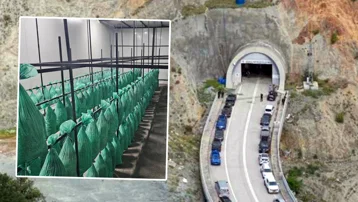 Tünelin içi üretim tesisine dönüştürüldü: İlk hasat yapıldı, hedef 190 ton kapasiteye ulaşmak
