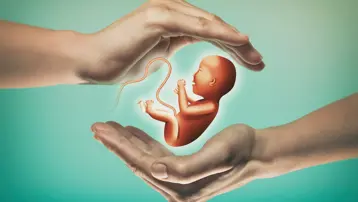 Tüp bebek tedavisinde şartlar değişiyor. Devlet desteği artacak, yaş sınırı değişecek