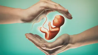 Tüp bebek tedavisinde şartlar değişiyor. Devlet desteği artacak, yaş sınırı değişecek