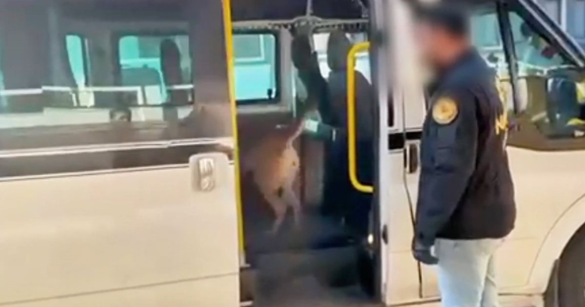 Torbacılara darbe. 1 tonu aşkın uyuşturucu ele geçirildi