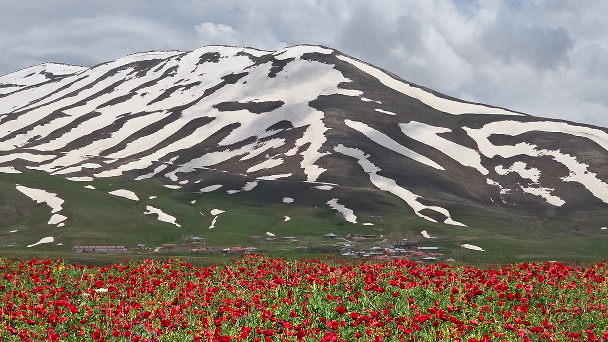 Görenler inanamadı. Aynı günde iki farklı mevsim yaşanıyor