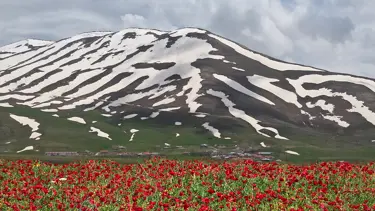 Görenler inanamadı. Aynı günde iki farklı mevsim yaşanıyor