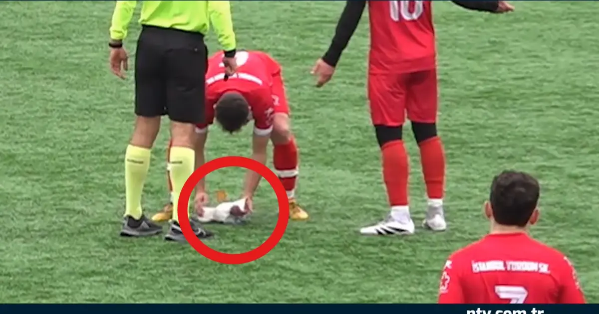 Topla vurulan martıyı hayata döndürdüler