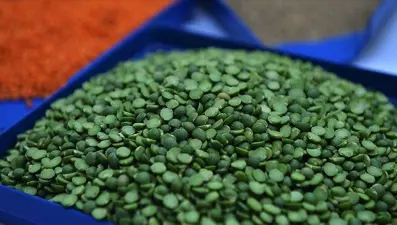 Yeşil mercimek ve yulaf ithalatında gümrük vergisi düşürüldü