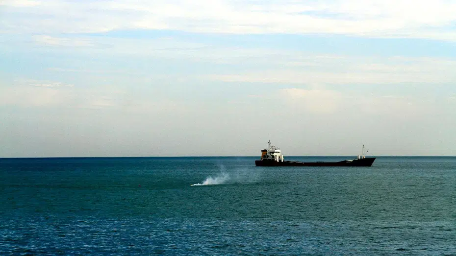 Karadeniz'de üçlü güvenlik hamlesi: Bulgaristan, Türkiye ve Romanya'yı istişareye çağıracak