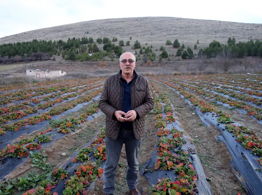 ''PASTANELERDE TERCİH EDİLİYOR'' 3