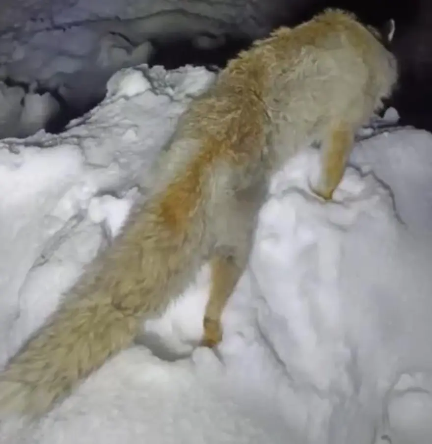 BÖLGE SAKİNLERİNE UYARI 3