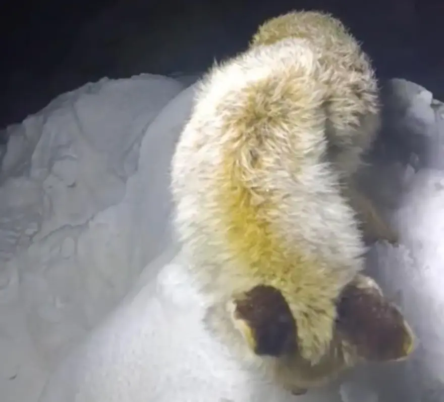 HAVA SICAKLIĞI -30'LARA KADAR DÜŞÜYOR 2