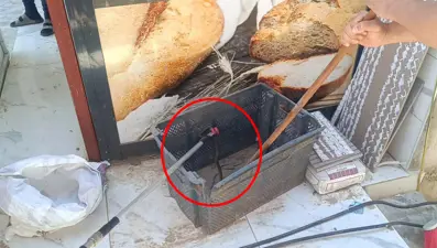 Gaziantep'te korku dolu anlar. Fırındaki ekmek sandığından yılan çıktı