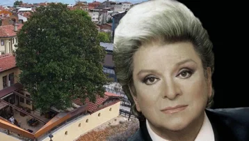 Zeki Müren'in Manolyam şarkısına ilham vermişti. 300 yıllık ağaç ilk günkü gibi korunuyor