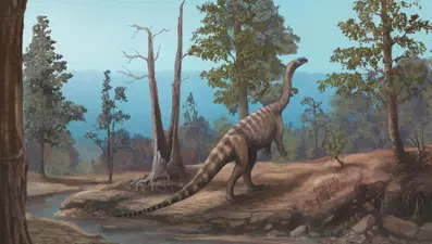 Boyu 4 buçuk metreden uzun. 210 milyon yıllık yeni bir dinozor türü keşfedildi