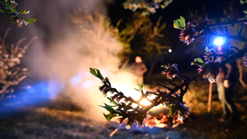 Marmara Bölgesi için zirai don uyarısı